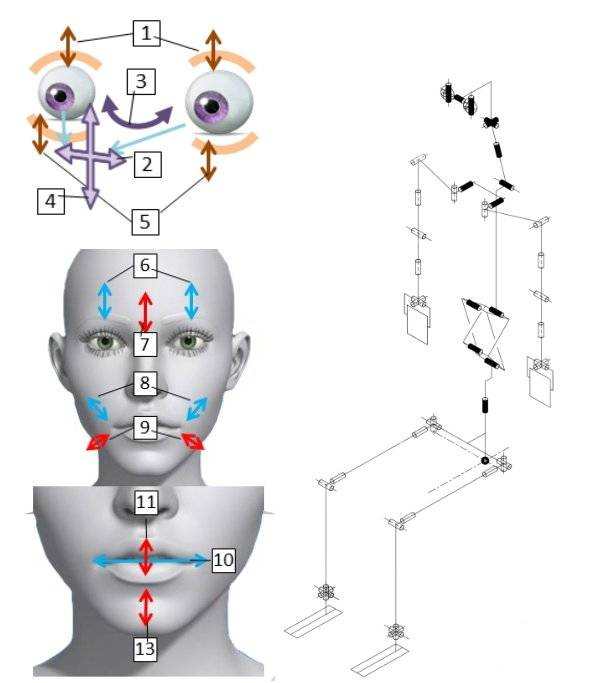 日本发明妻子机器人是真的吗,日本智能机器人女友上市多少钱