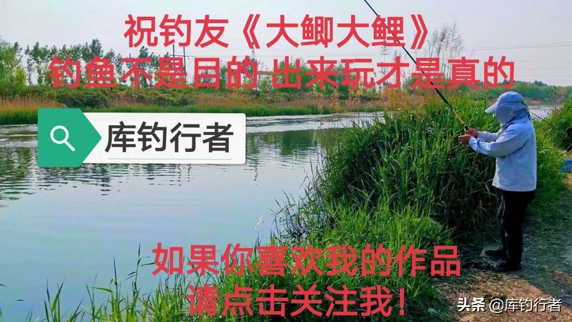 武汉天元饵料野战红魔,天元野战红魔鱼饵料