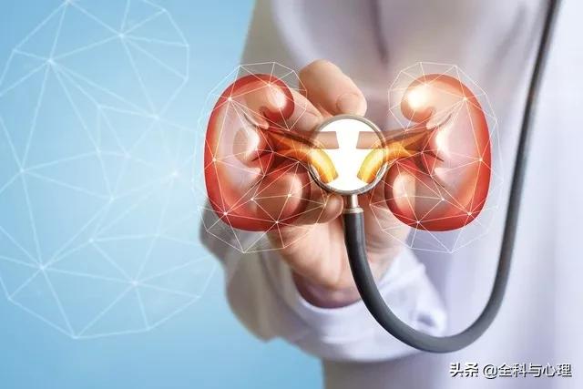 你生命中不可承受的肥胖危机,你生命中不可承受的肥胖危机内容