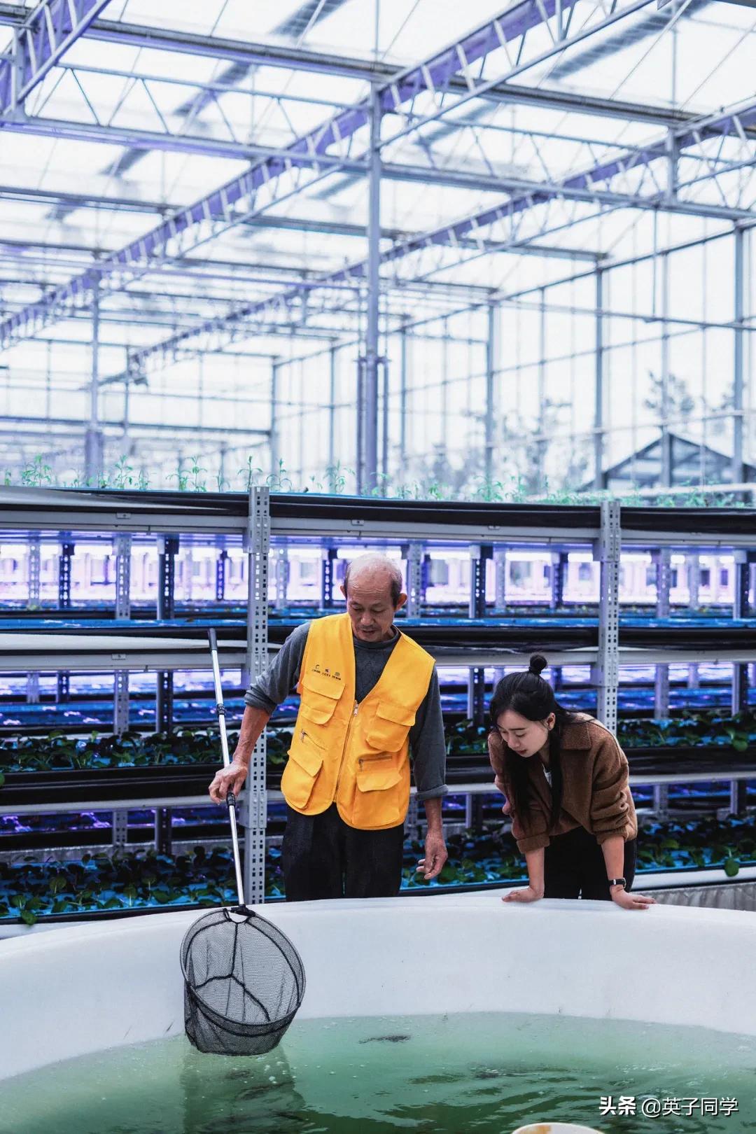 南昌生态谷智慧农场采摘,南昌亲子采摘踏青