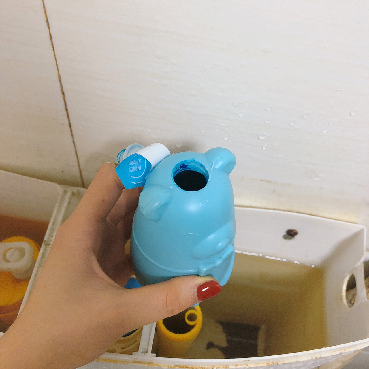 晒晒我最得力的11个清洁工具，房子住了7年，每天干干净净