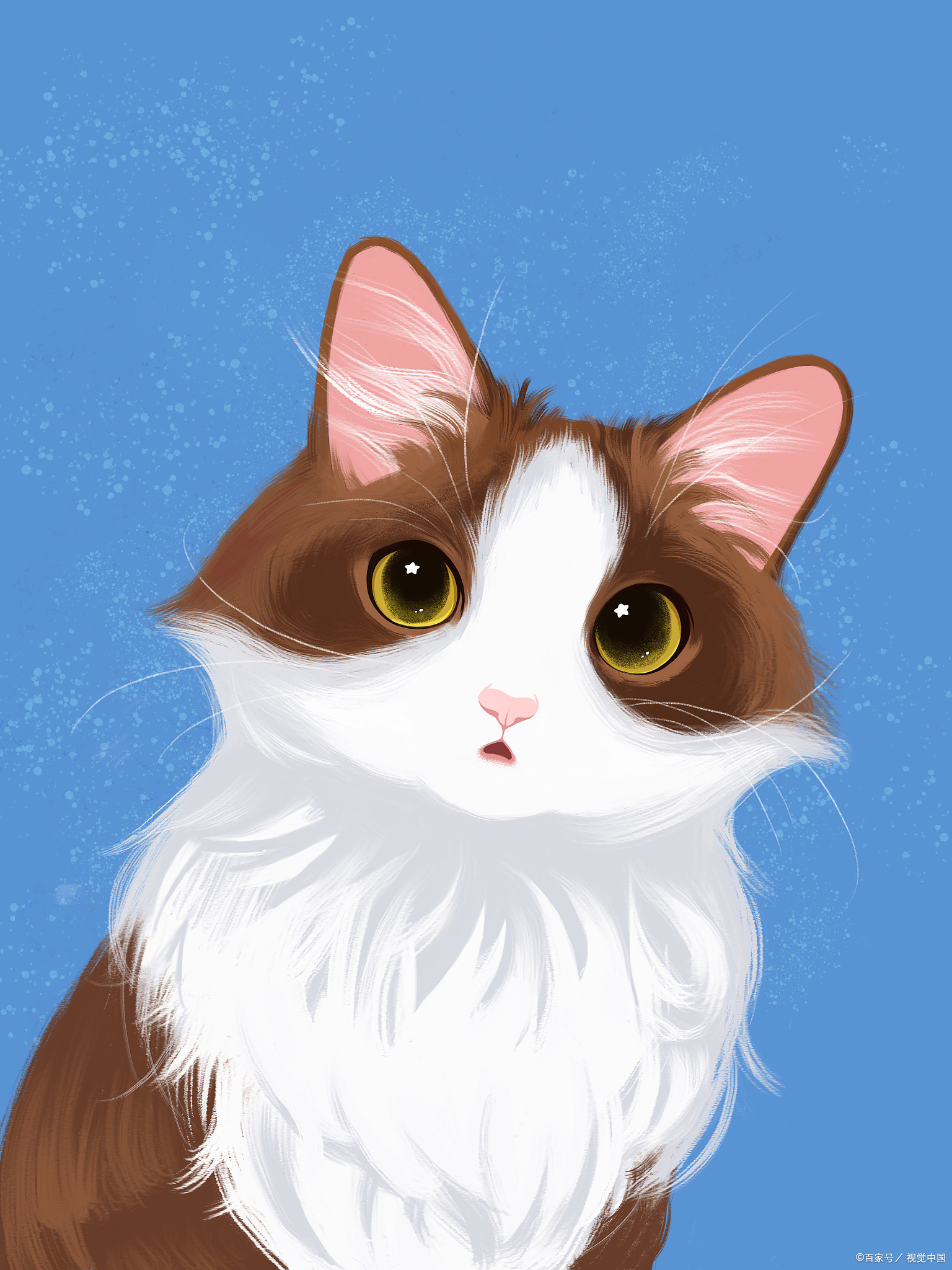 怎么训练猫亲近主人,猫主子训练动作图解