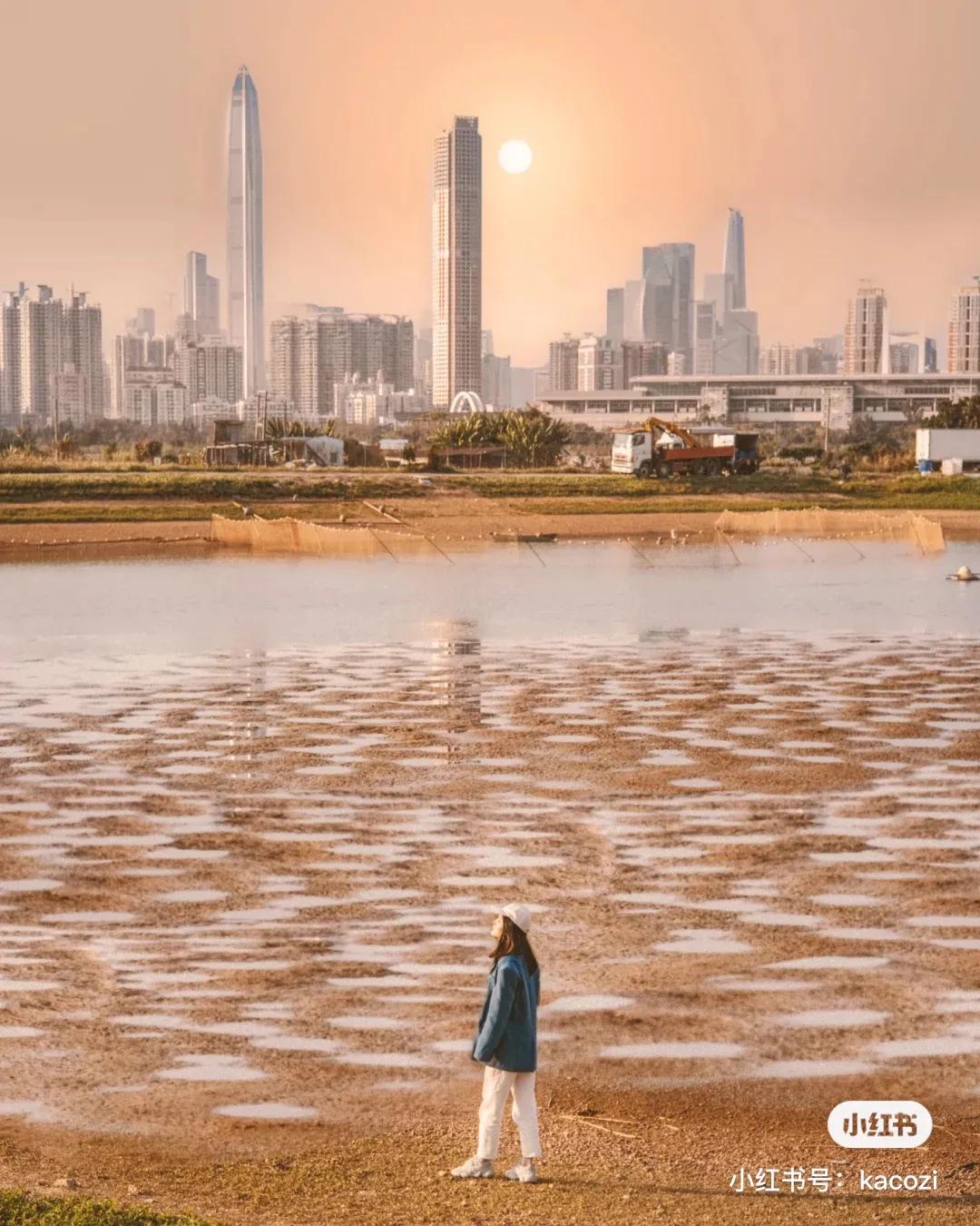 香港必打卡十大景点,香港必打卡的地方