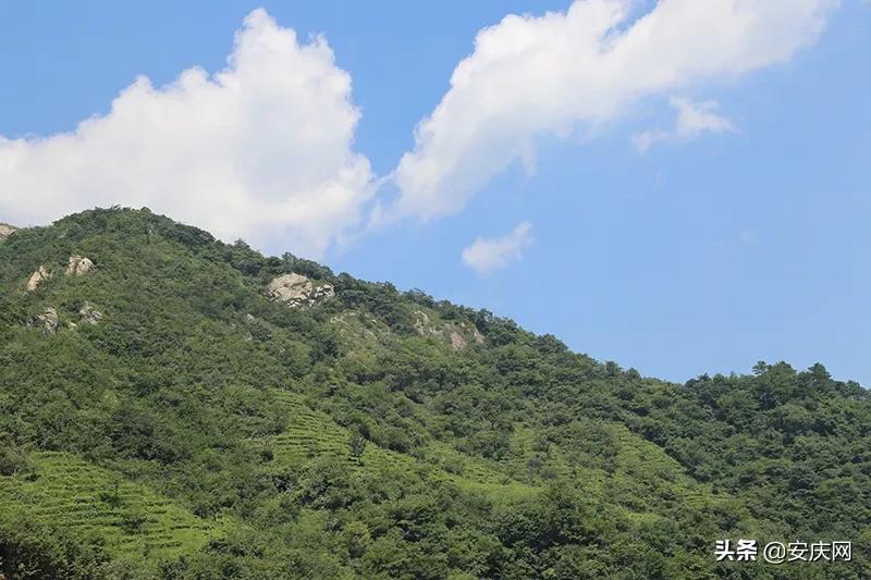 春游江淮请您来︱天柱山海心谷：煮一壶春味品一程人生