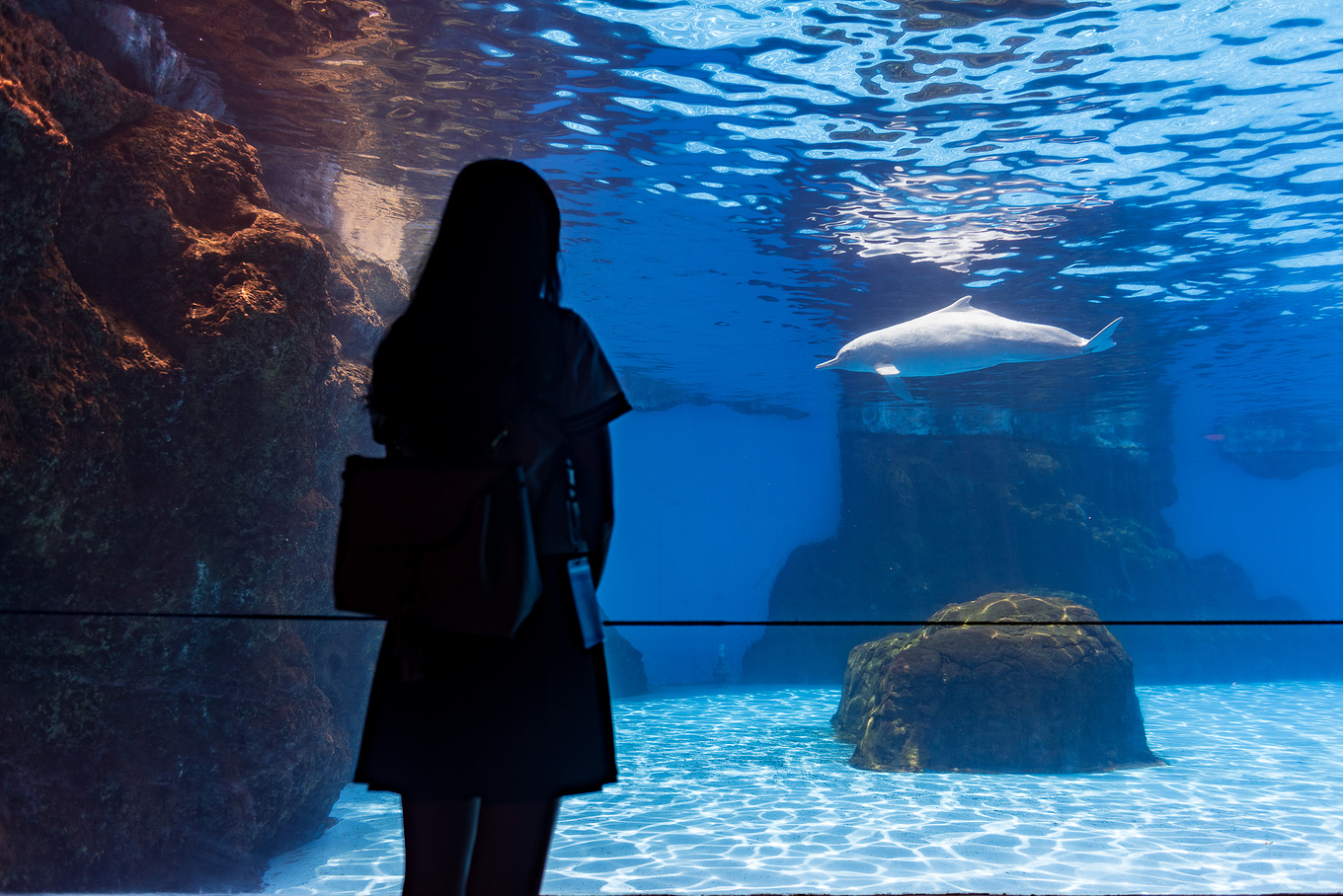 珠海长隆龙秀适合小朋友看吗,珠海长隆海洋王国值得打卡的地方