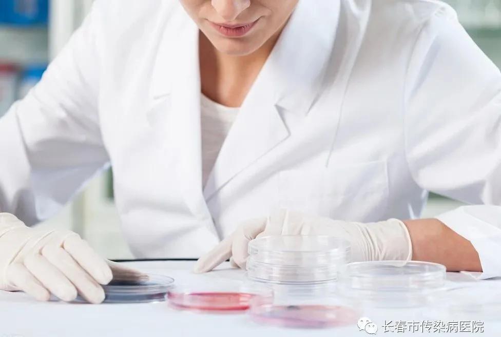 微生物手工报告单怎么看,微生物化验单怎么看