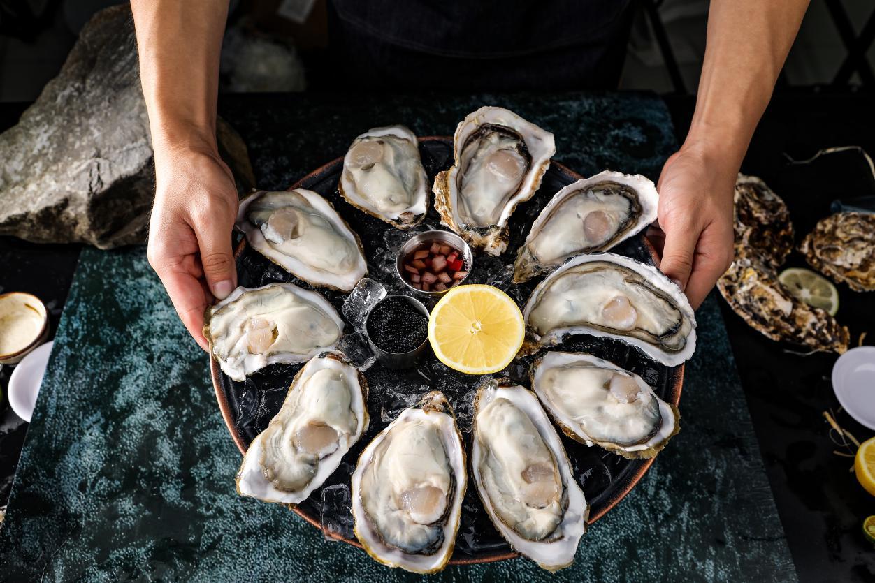 灯塔水母真相,灯塔水母解剖