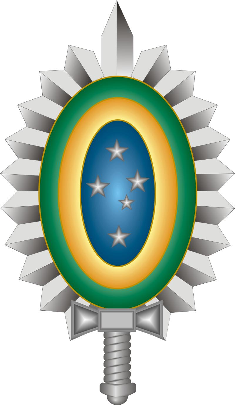 巴西军队标志,巴西海军军衔