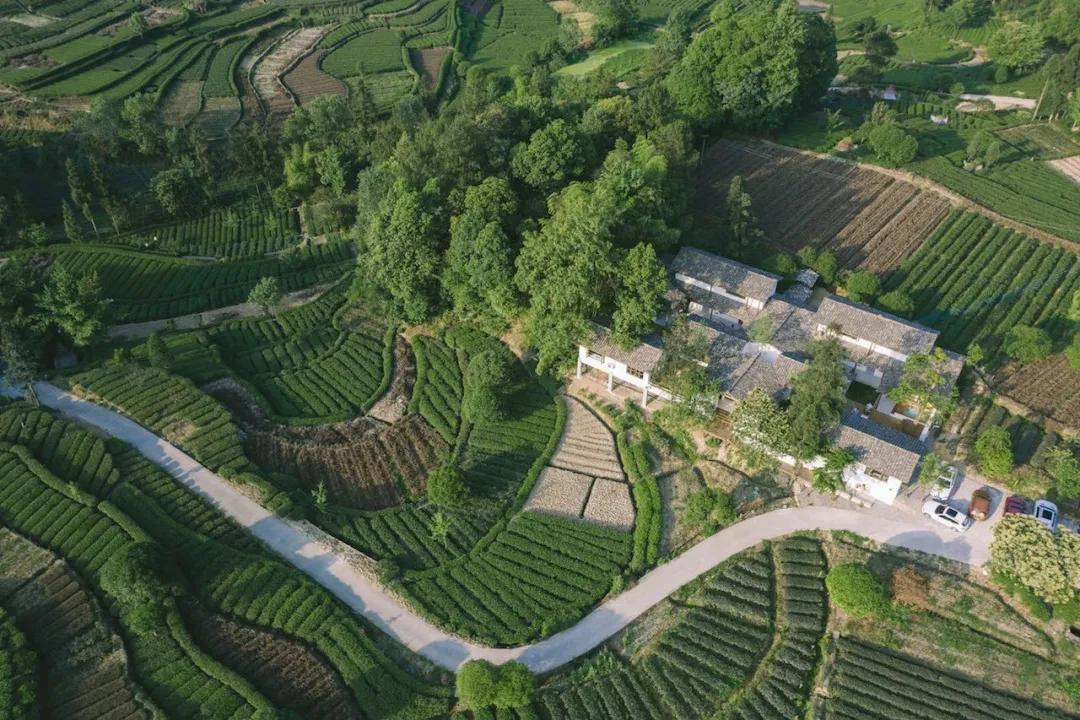 雅安旅行攻略亲子游,雅安市旅行攻略自由行路线