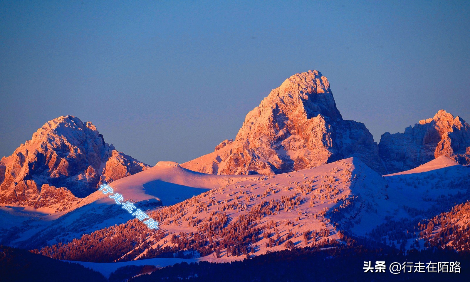 气候变暖引起的冰川变化,冰川大面积变暖