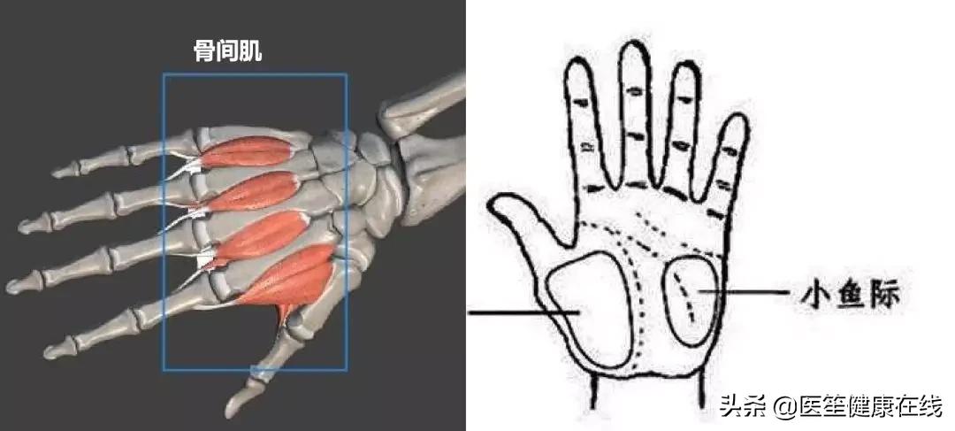 半夜突然手麻醒,半夜手麻惊醒是怎么回事
