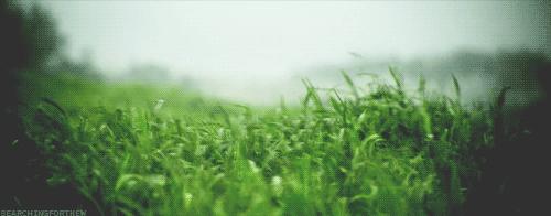 京城新增一“小江南”！免费人少