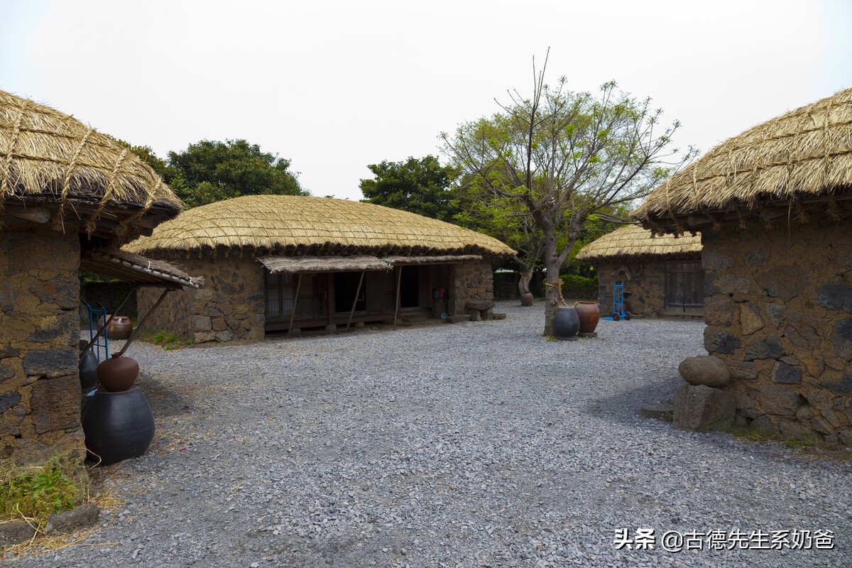 五一带娃去旅游，古德奶爸带你划重点