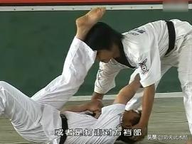 防身术踢裆,防身术格斗组合拳