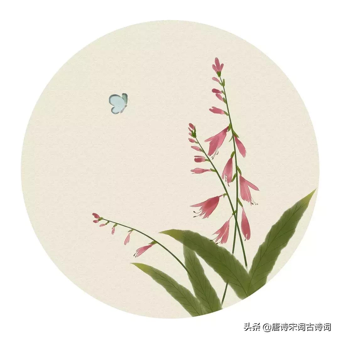 100首关于夏天的唯美古诗词,100首夏日古诗词