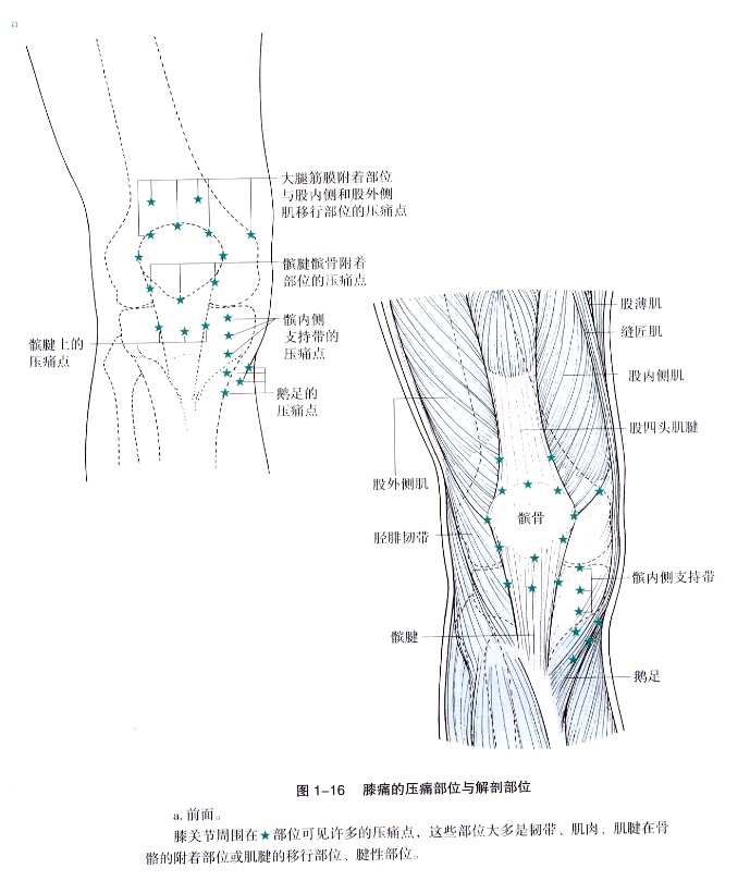 预防骨性关节炎,怎么预防骨性关节炎