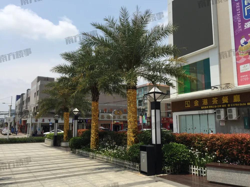 全程暴走！实探疯传的扩容临深区域凤岗+塘厦，到底值不值得买？