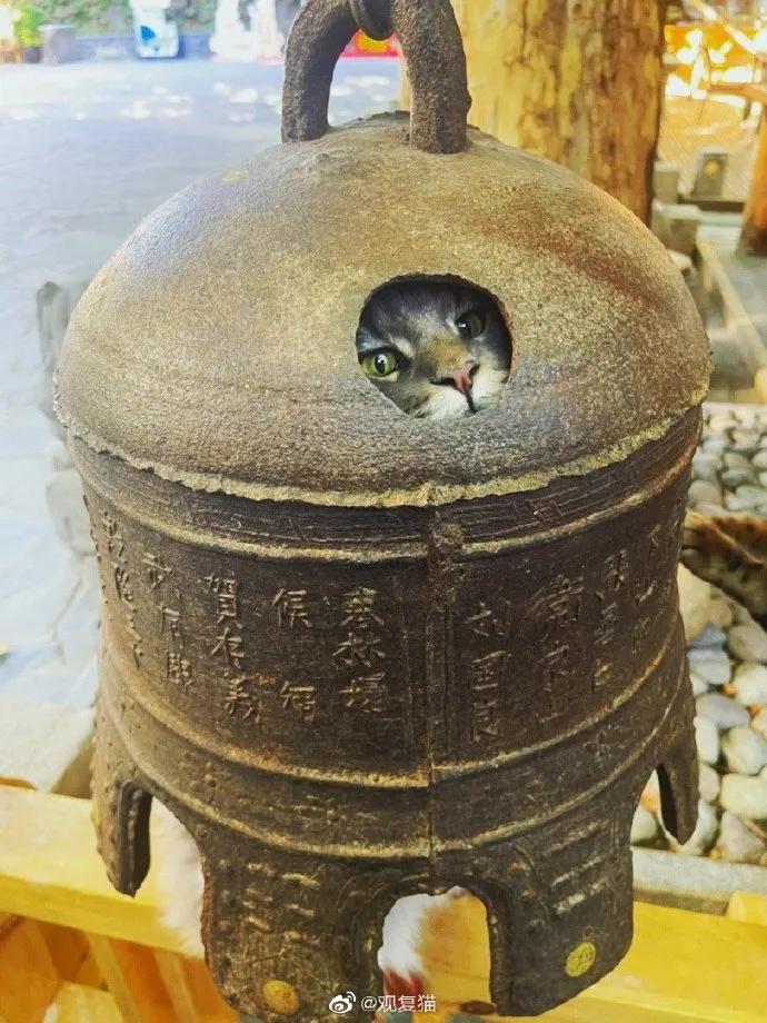 浣犺兘鐚滃嚭璋佺畻鎴戣緭,浣犵寽寰楀嚭鏉ョ畻鎴戣緭