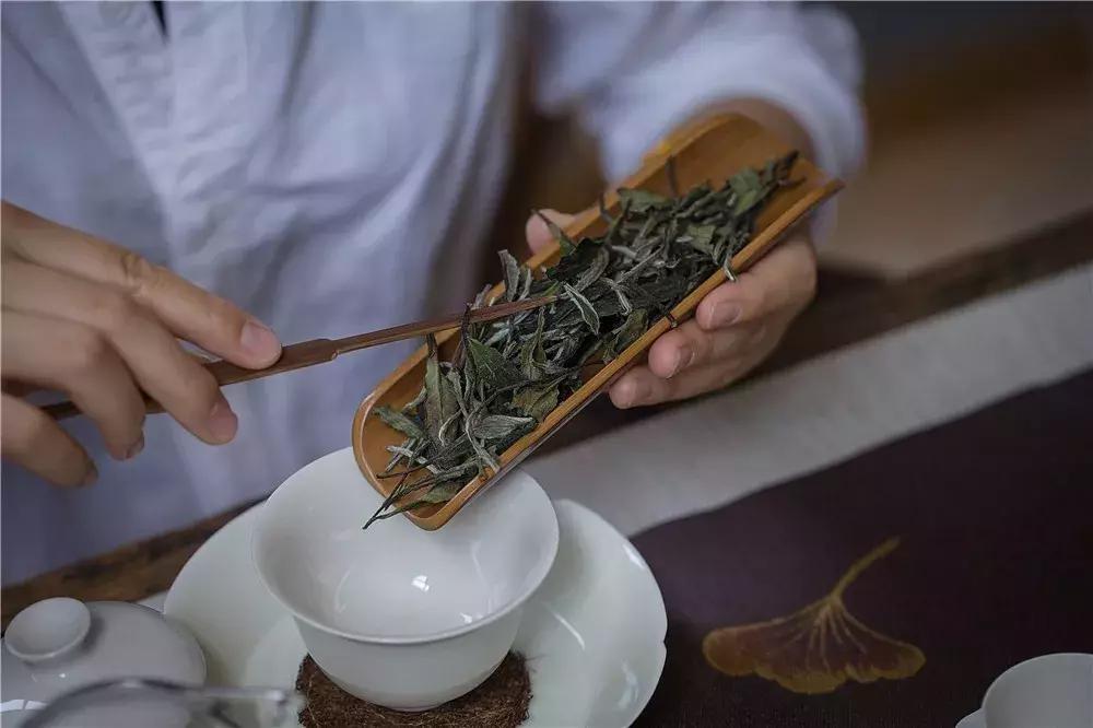 茶百道工作体验真实感受,从事茶行业的自述