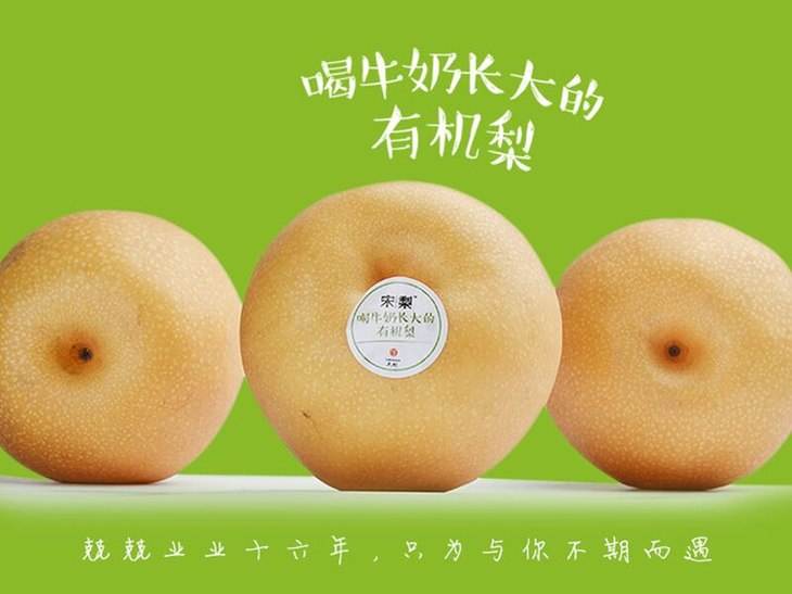 他辞去500强企业的工作，毅然决然开荒种梨，最后怎么样了