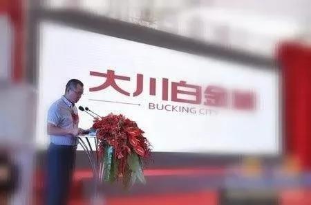 起底“门业大王”，重庆大川生死局