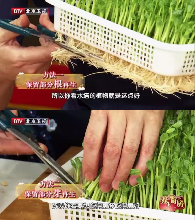 萝卜莴笋白菜黄花菜都是蔬菜,冬天萝卜白菜靠边站