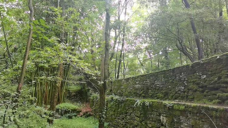 黔南第一山在什么地方,黔南第一山在哪里