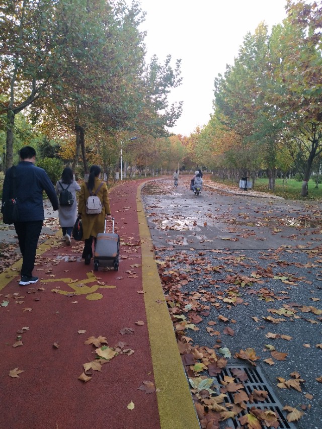 笋因落箨方成竹下一句是什么,笋因落箨方成竹打一生肖