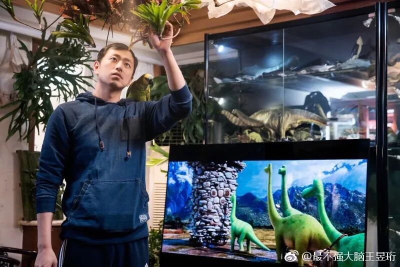 王昱珩上学经历,清华毕业的王昱珩