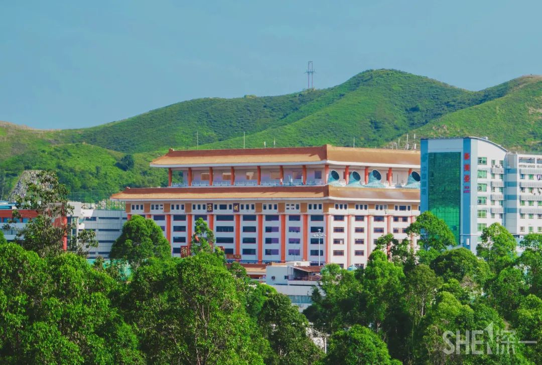 罗湖发达吗,罗湖区的实力到底有多强