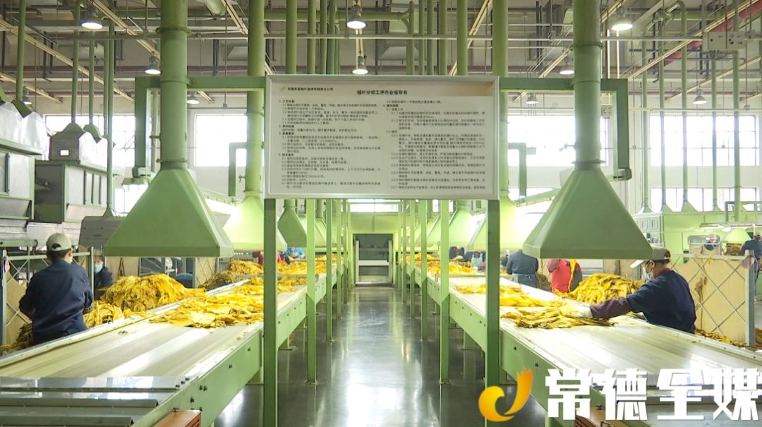 常德高新区管委会附近租房,常德高新区租房