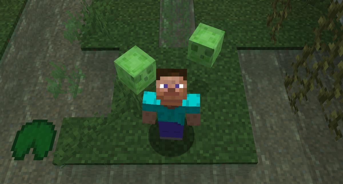 我的世界攻击力前十的实体,我的世界体型最大的生物排行榜