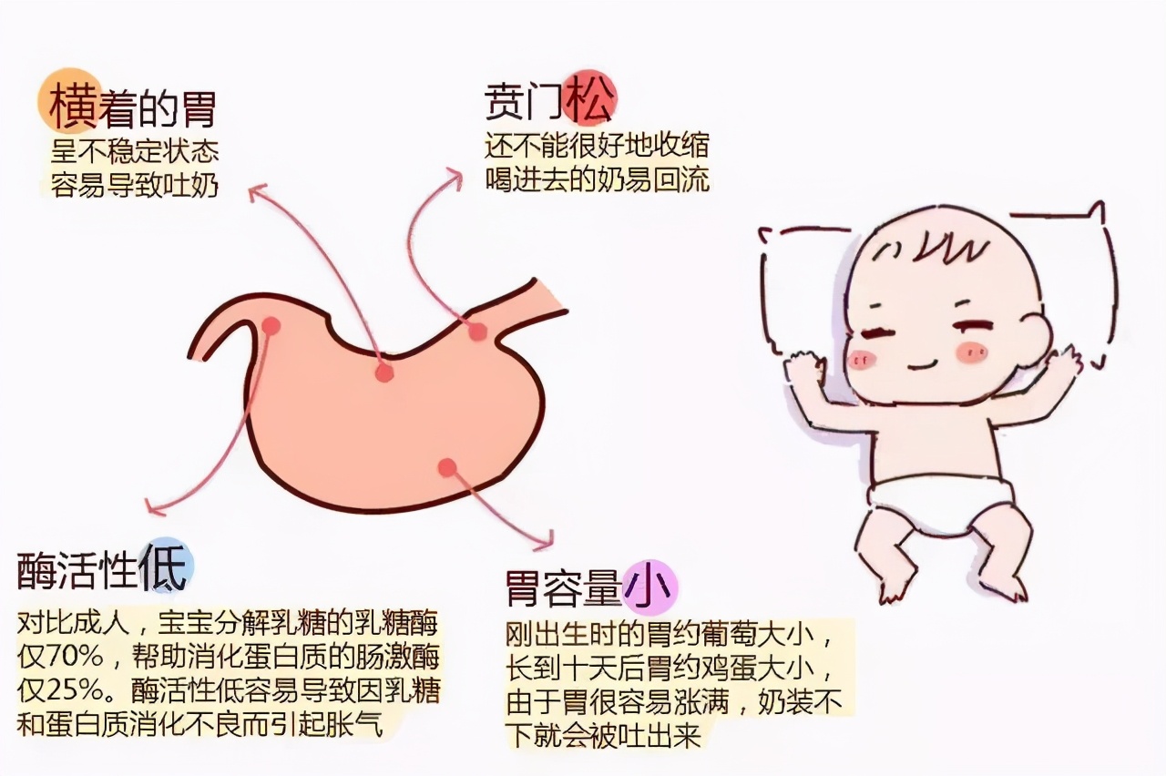 为什么拍嗝了宝宝还会吐,为什么给娃拍嗝会吐奶