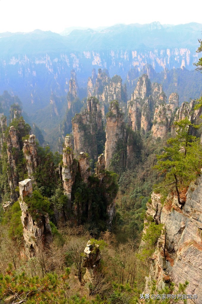 张家界森林公园亲子游攻略,张家界旅游攻略现在张家界气温
