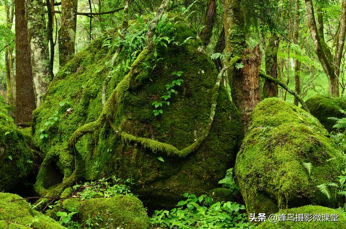 松下全画幅微单s1评测,松下s1全画幅微单拍摄视频