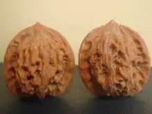 文玩品鉴视频,广善文玩精品文玩核桃