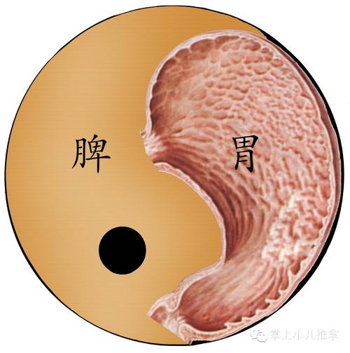 萎缩性胃炎伴肠上皮化生怎么调理,慢性萎缩胃炎伴肠上皮化生严重吗