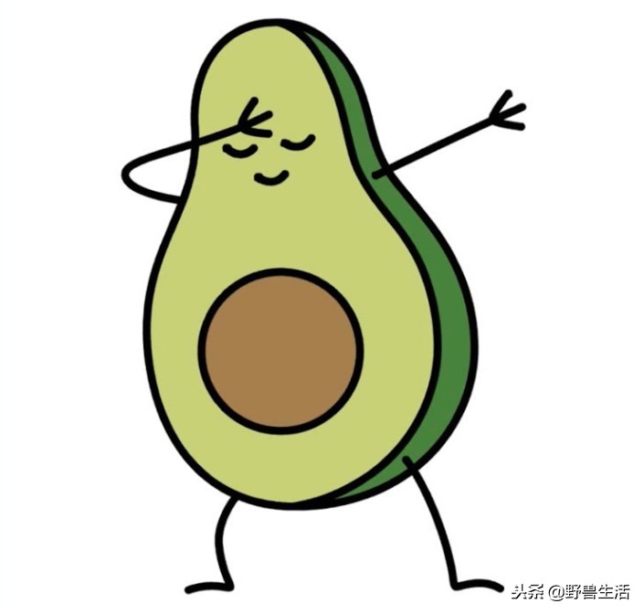 牛油果是真有营养还是虚假宣传,被捧上天却毫无作用的食物