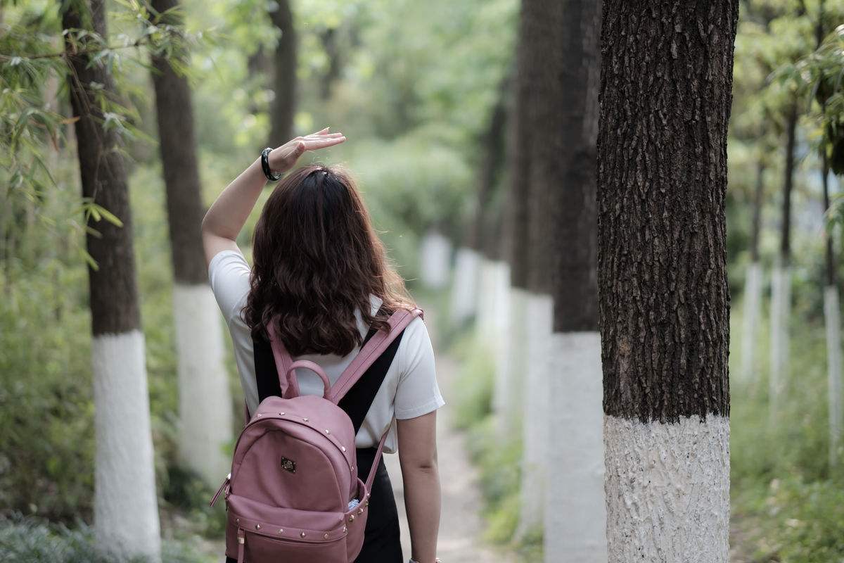 河南大学考多少分能上浙江大学,河南高考多少分能上浙江大学