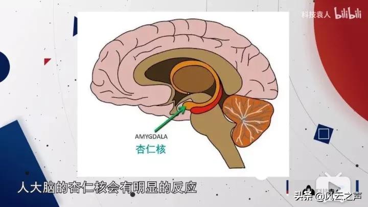 被人调侃如何机智应对,被人指责怎么回击