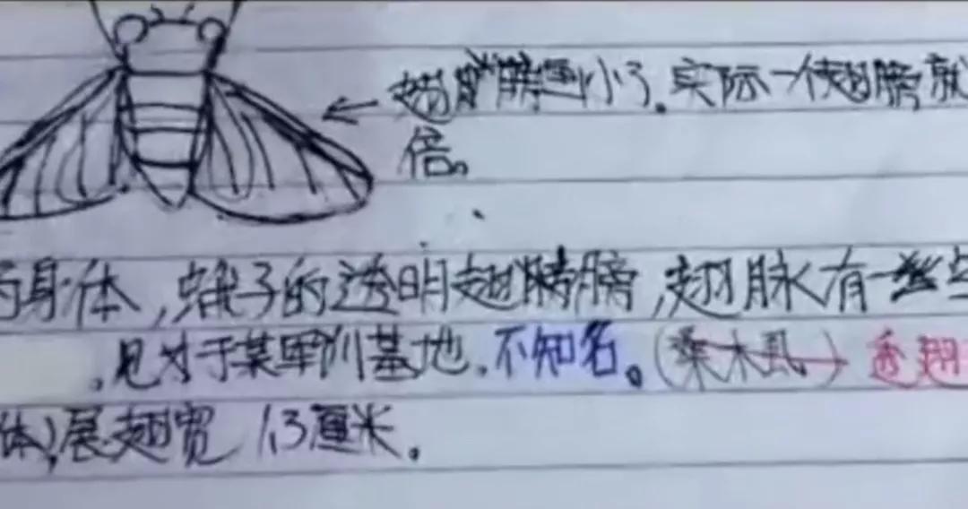 科普博主点赞,一个科普博主的顶流之路