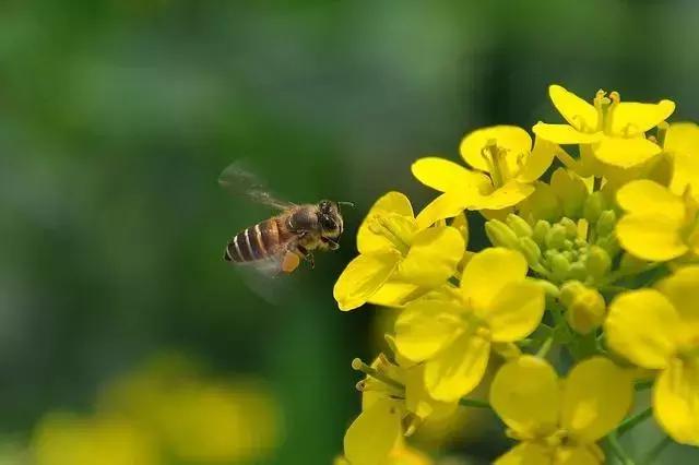 兵哥野外驻训需要什么,野外训练兵哥哥需要多长时间