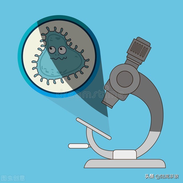 普洱茶熟茶检查出好多细菌,变质的普洱熟茶喝了会怎样