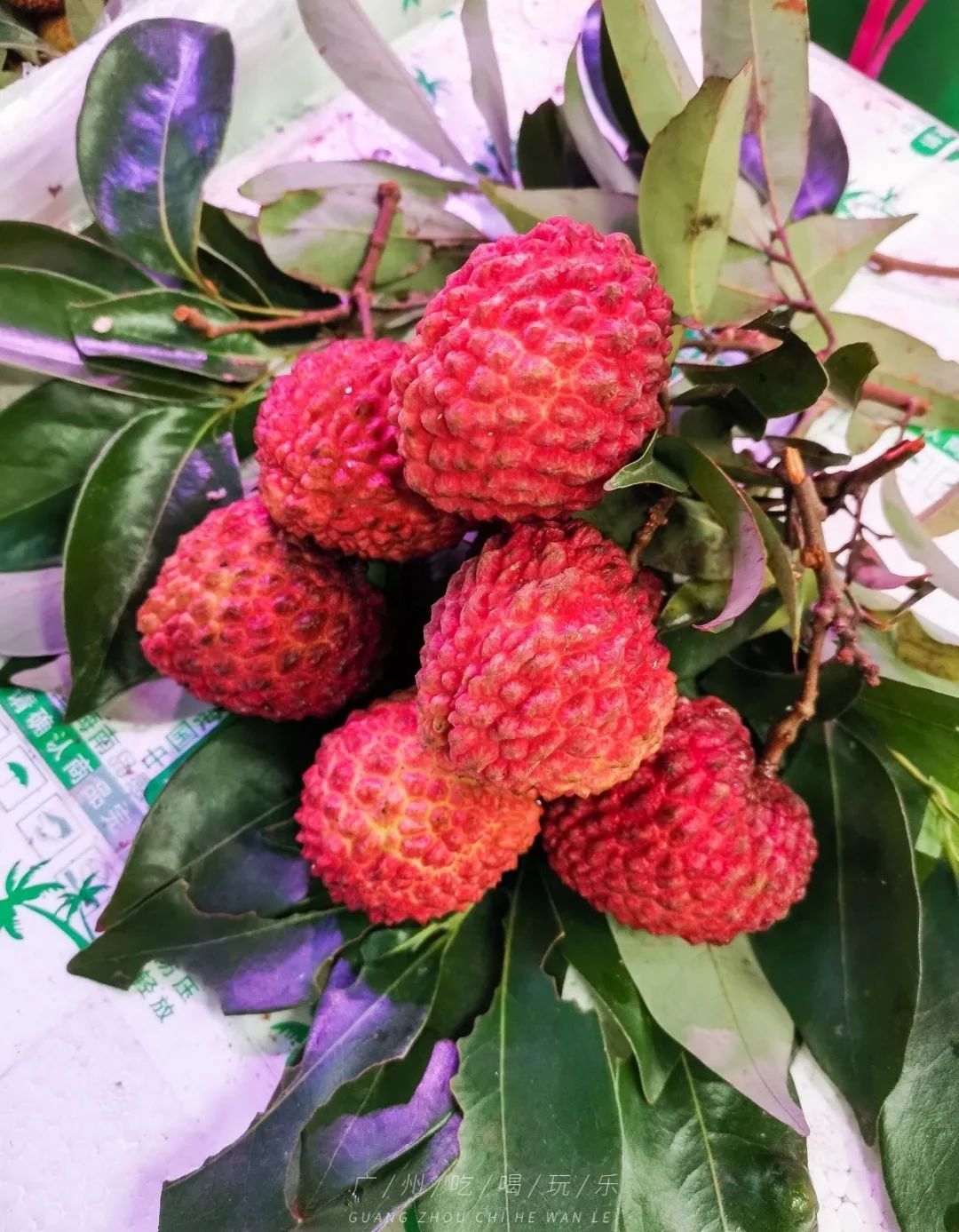 地铁坐到水果市场附近,广州天平架水果市场