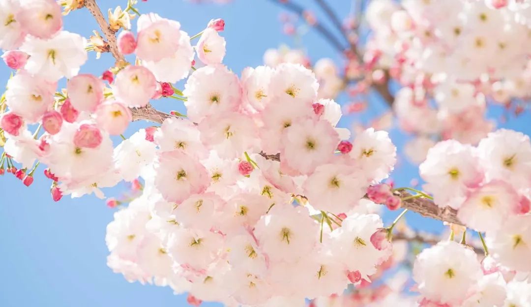 美过三亚！比厦门浪漫！中国这座海滨老城，去一次相当于环游世界