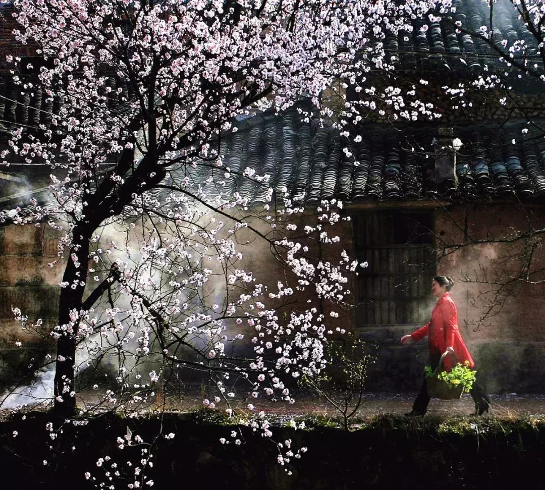 缙云十大旅游村落排名榜,缙云必游古村落