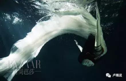 娱乐圈里那些同名不同命的明星,娱乐圈同名同姓的明星都有谁