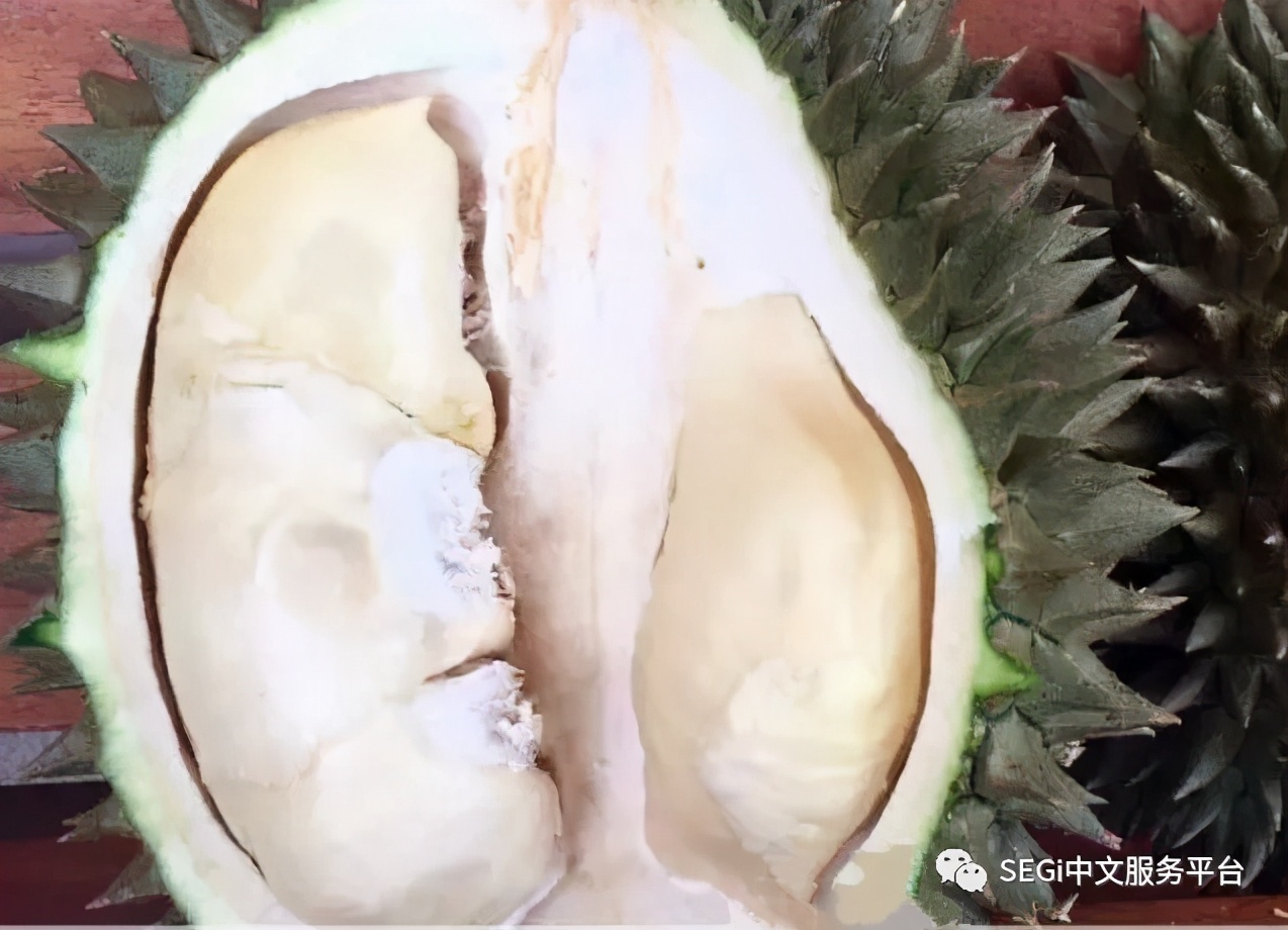 马来西亚的榴莲有啥品种,马来西亚榴莲有几种