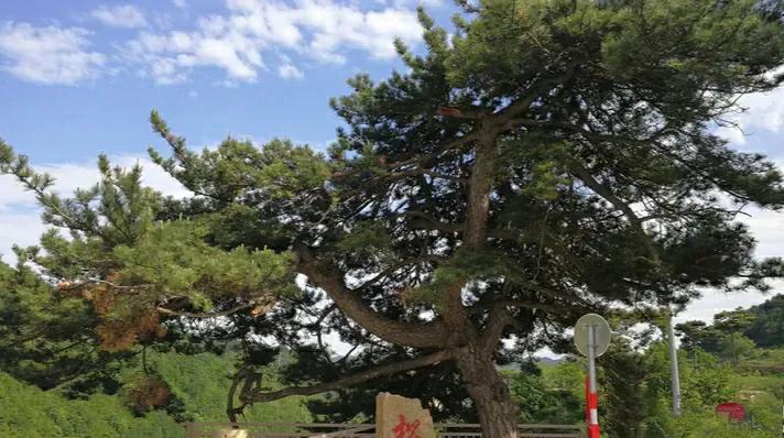 太行古道羊肠坂全文,太行古道羊肠坂地图