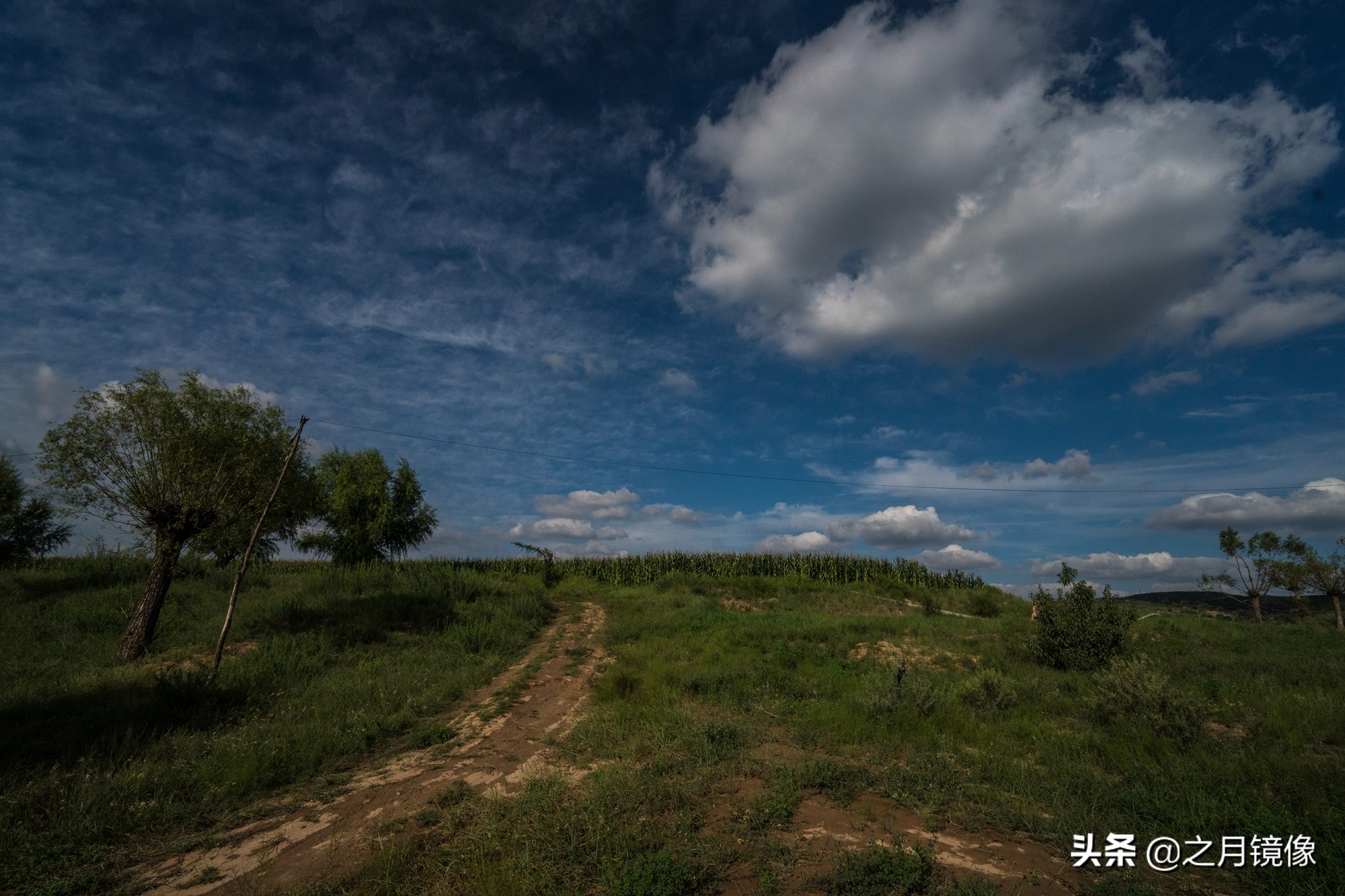 闈栬竟澶ф紶,闈栬竟澶ф紶椋庡厜